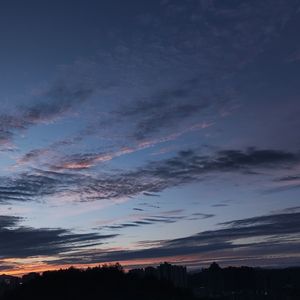 海底（cover：一支榴莲）