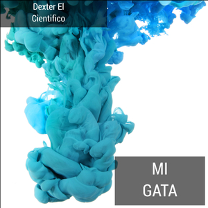 Mi Gata