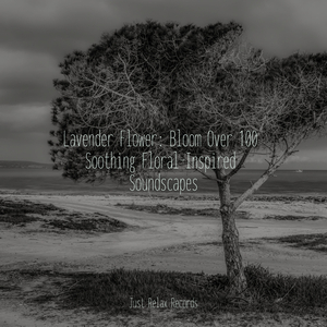 Shimmering Daydream Heights