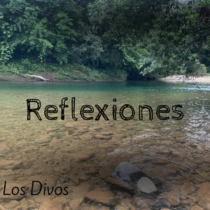 Reflexiones