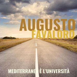 Mediterranea è l'Università