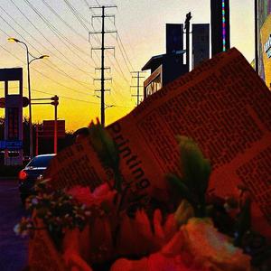 浪漫主义小红歌