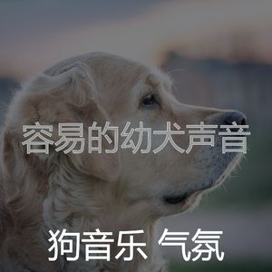 精彩睡狗环境