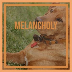 Sweet Little Sixteen