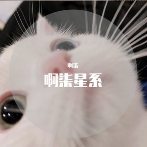 猫になりたい