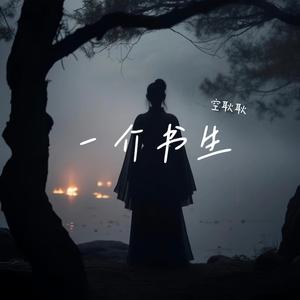 一介书生