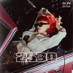 2530 (Demo)
