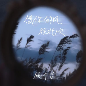 想你的风往北吹 (伴奏)
