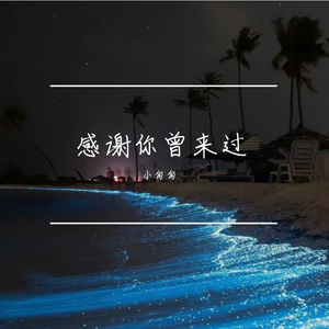 感谢你曾来过（合唱版）