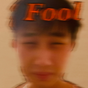 Fool