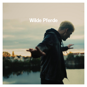 Wilde Pferde