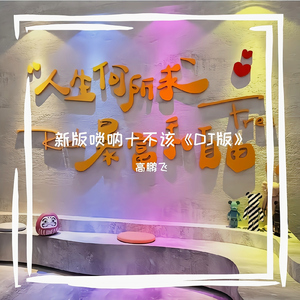 新版唢呐十不该 (DJ版)