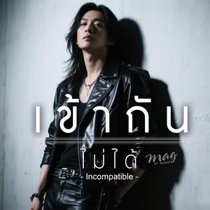 เข้ากันไม่ได้-incompatible