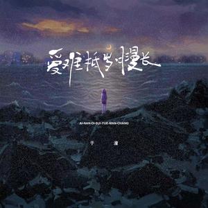 爱难抵漫长岁月