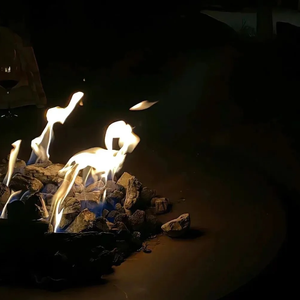 逆流而上(Contracorriene)