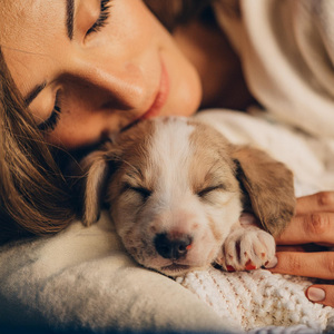 Melodías Pacíficas Flotan Por El Aire
