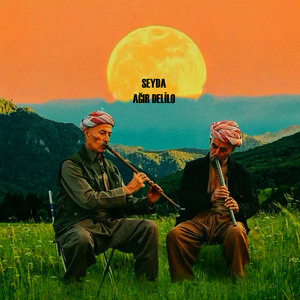 Ağır Delilo