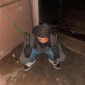 Bandit