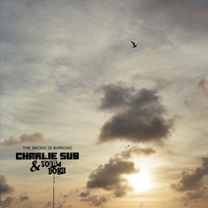 The Bronx Is Burning