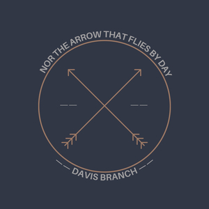 Nor The Arrow That Flies By Day