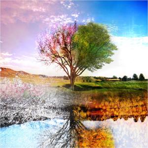 Ambazonians Lets Work Together