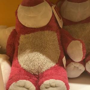 我不是你的宋冬野