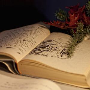 Geldi Geçti Ömrüm Benim (Üstad Misafirler: Yunus Emre)