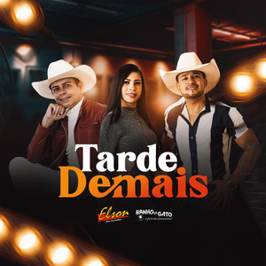 Tarde Demais