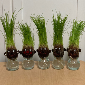 どうでもいいですよ