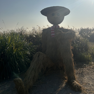 夜色里的执念枷锁