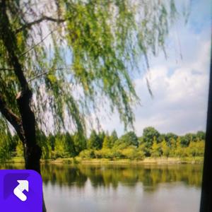 张先生讨学钱选段