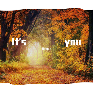 Shane Filan-Its you（Unique remix）