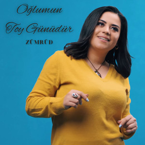 Oğlumun Toy Günüdür