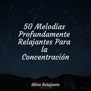 Mirar Fijamente A La Niebla
