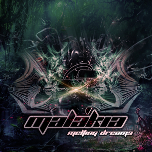 The Fifth Dimension (Original Mix)