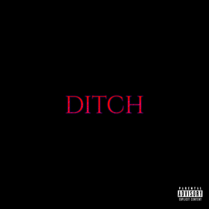 Ditch