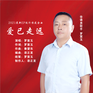 爱已走远（舞曲版）