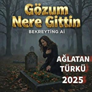 Gözüm Nere Gittin | Bekreyting Ai | Audio Alt Yazılı