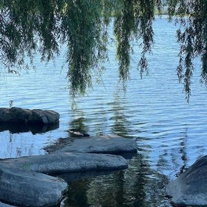 《月光下的心之港湾》