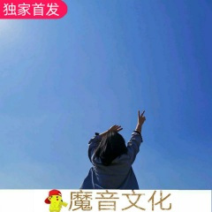 我的意中人是个盖世英雄