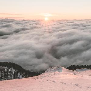 Żaba (feat. Marek Sienkiewicz) (Alternative Lofi version)