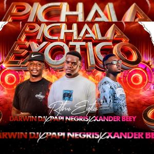 PICHALA (feat. DJ XANDER & DARWIN DJ)