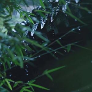 山听雨