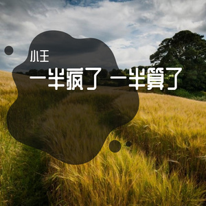 一半疯了 一半算了