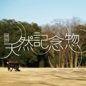 SWEET CUBE (新井大樹 mix)