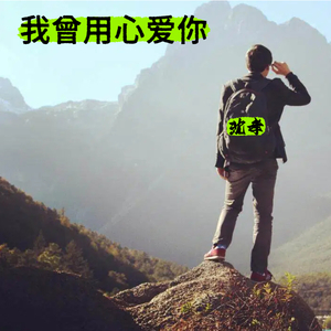 我曾用心爱你