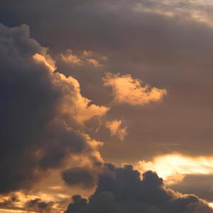 love is all you need