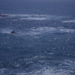 The Rivers Still Run