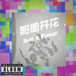 阳面开花（Sun Flower）_1 伴奏