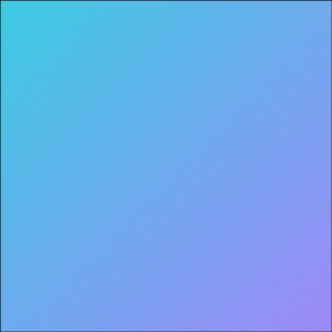 Drizzle Seoul Vinyl (Cover)